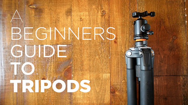 Beginners Guide to Tripods - Benefits, How to Use, Recommended Tripod Gear