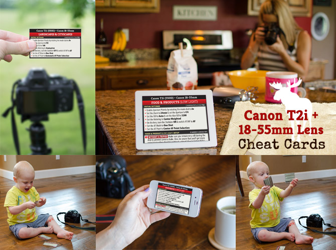 Cheat Cards for the Canon T2i (550D) + 18-55mm Lens Combo