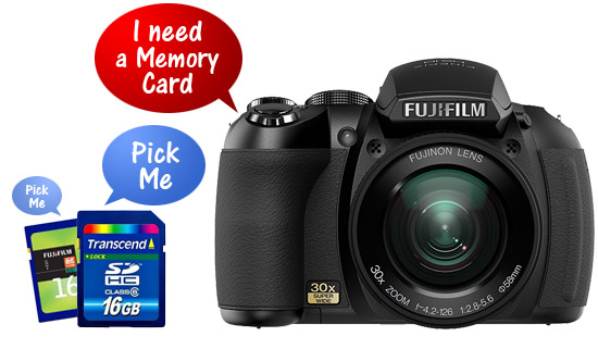 Fuji HS10 Memory Card