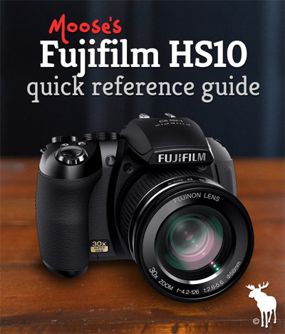 Fuji HS10 Tips & Resources