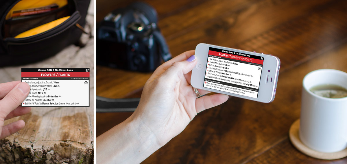 Canon 60D Cheat Sheet for Portraits and Nature Photography