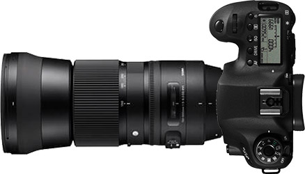 Canon 6D + 150-600mm