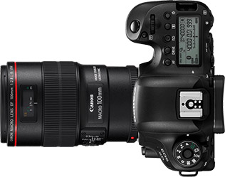 Canon 6D Mark II + 100mm f/2.8
