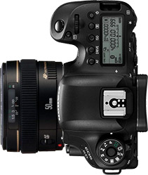 Canon 6D Mark II + 50mm f/1.4