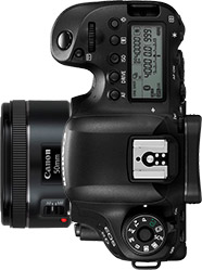 Canon 6D Mark II + 50mm f/1.8