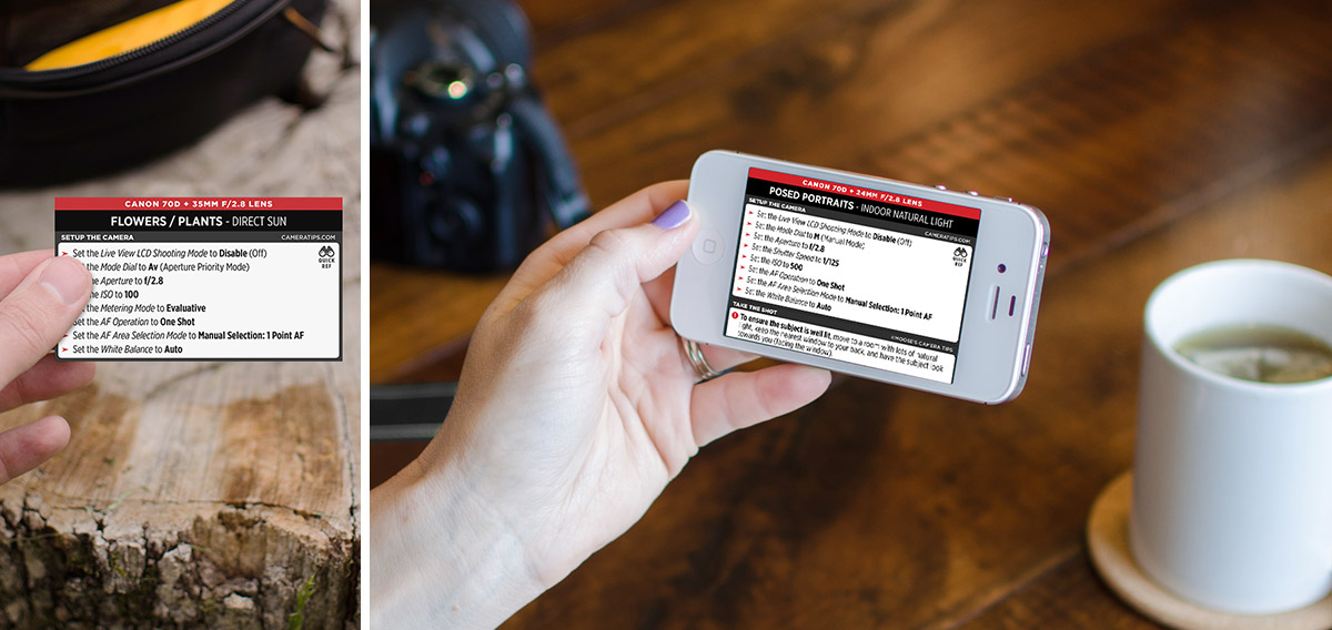 Canon 70D Cheat Sheet for Portraits and Nature Photography