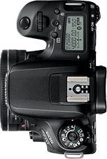 Canon 77D + 40mm f/2.8 STM