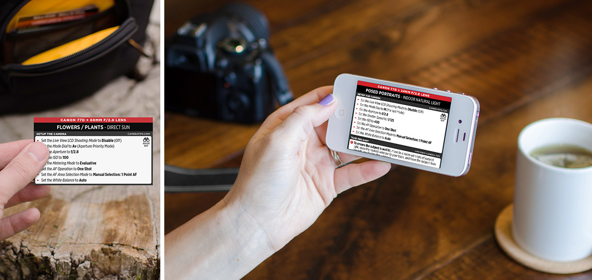 Canon 77D Cheat Sheet for Portraits and Nature Photography