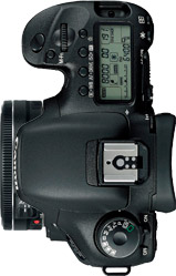 Canon 7D + 40mm f/2.8 STM