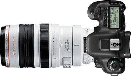 Canon 7D Mark II + 100-400mm f/4.5-5.6