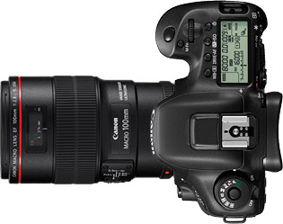 Canon 7D Mark II + 100mm f/2.8