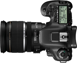 Canon 7D Mark II + 17-55mm f/2.8
