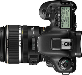 Canon 7D Mark II + 17-85mm f/4-5.6