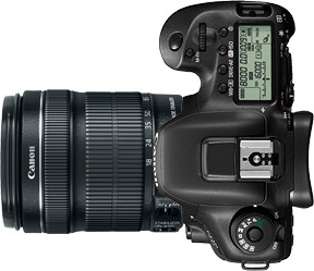 Canon 7D Mark II + 18-135mm f/3.5-5.6