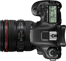 Canon 7D Mark II + 24-70mm f/4