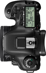 Canon 7D Mark II + 24mm f/2.8 STM
