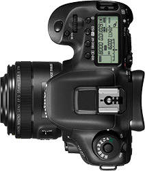 Canon 7D Mark II + 35mm f/2.8