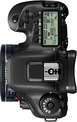 Canon 7D Mark II + 40mm f/2.8 STM
