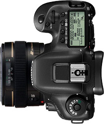 Canon 7D Mark II + 50mm f/1.4