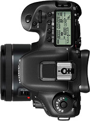 Canon 7D Mark II + 50mm f/1.8