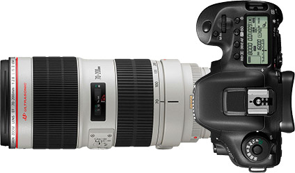 Canon 7D Mark II + 70-200mm f/2.8