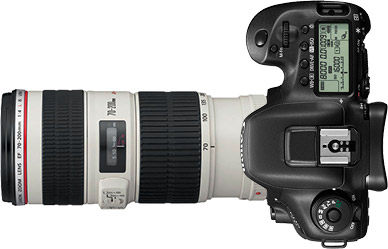 Canon 7D Mark II + 70-200mm f/4