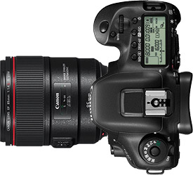 Canon 7D Mark II + 85mm f/1.4
