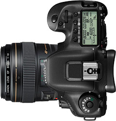 Canon 7D Mark II + 85mm f/1.8