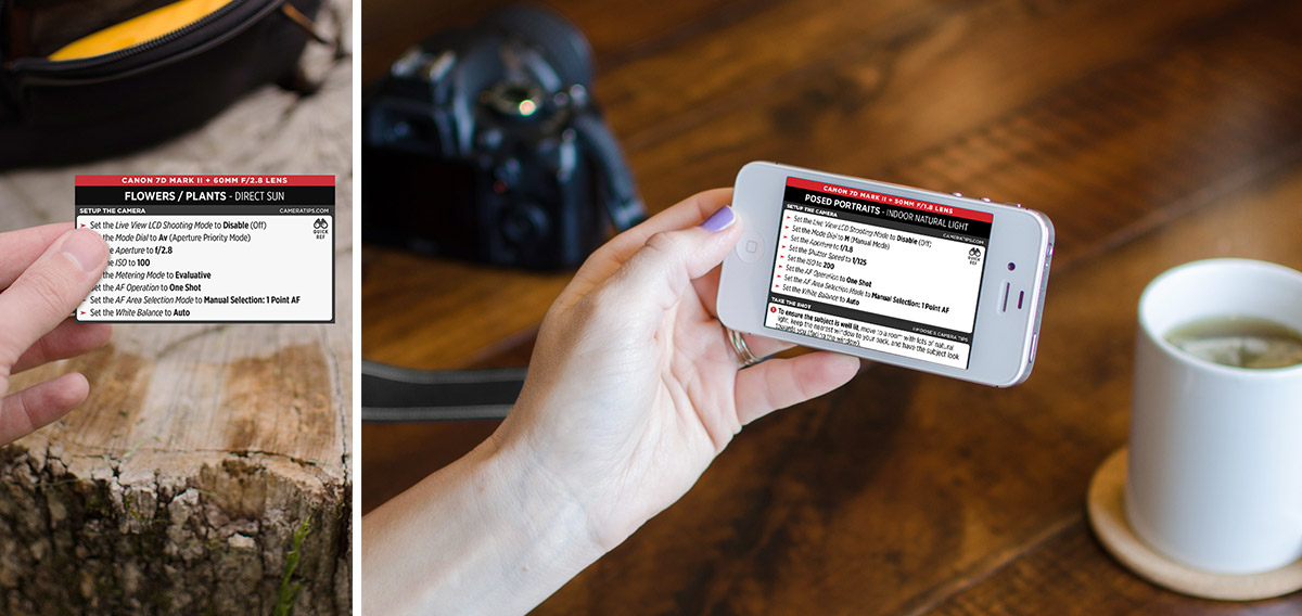 Canon 7D Mark II Cheat Sheet for Portraits and Nature Photography