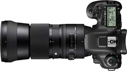 Canon 7D Mark II + 150-600mm f/5-6.3