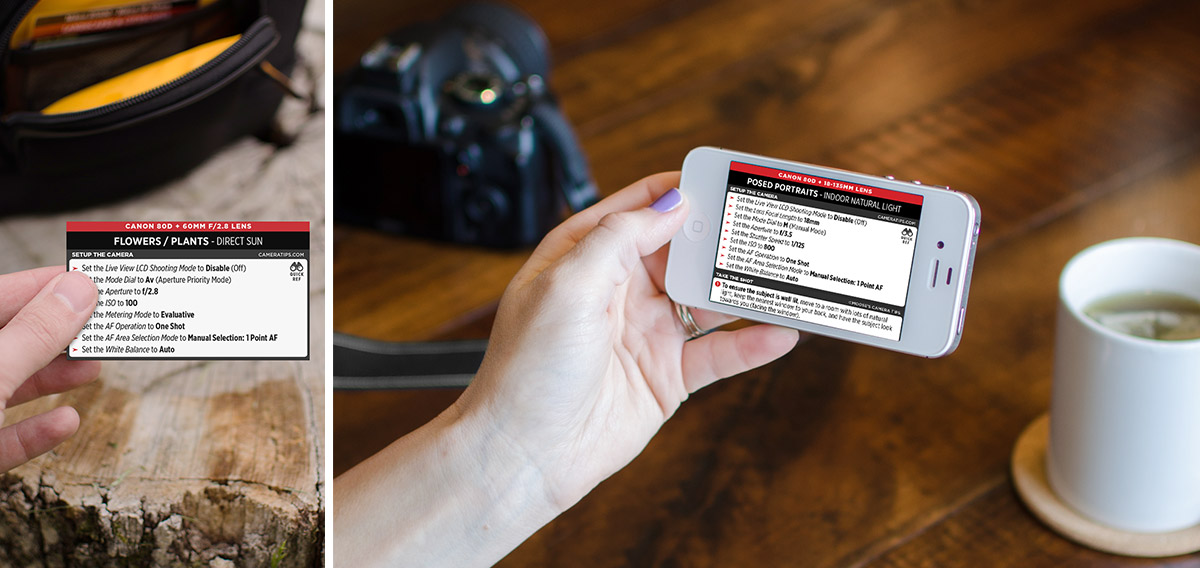 Canon 80D Cheat Sheet for Portraits and Nature Photography
