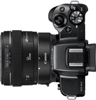 Canon M50 + 50mm f/1.4
