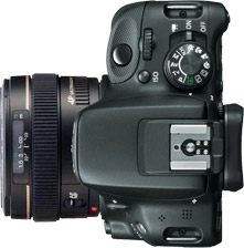 Canon SL1 (100D) + 50mm f/1.4