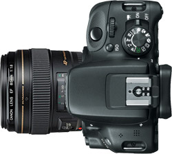 Canon SL1 (100D) + 85mm f/1.8