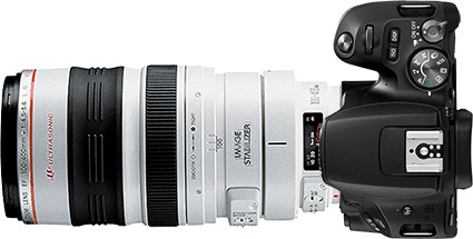 Canon Rebel SL2 (EOS 200D) + 100-400mm f/4.5-5.6