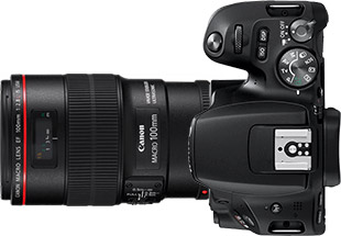 Canon Rebel SL2 (EOS 200D) + 100mm f/2.8