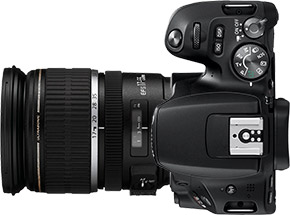 Canon Rebel SL2 (EOS 200D) + 17-55mm f/2.8