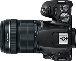 Canon Rebel SL2 (EOS 200D) + 18-135mm f/3.5-5.6