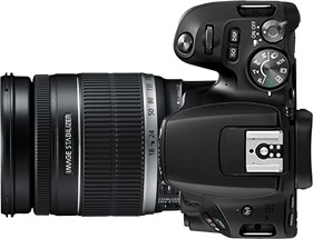 Canon Rebel SL2 (EOS 200D) + 18-200mm f/3.5-5.6