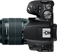 Canon Rebel SL2 (EOS 200D) + 18-55mm f/4-5.6