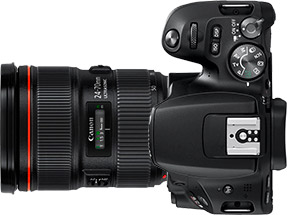 Canon Rebel SL2 (EOS 200D) + 24-70mm f/2.8