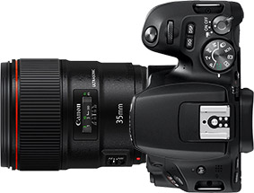 Canon Rebel SL2 (EOS 200D) + 35mm f/1.4