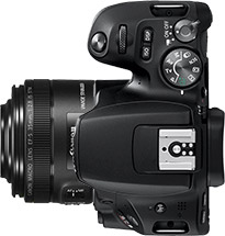 Canon Rebel SL2 (EOS 200D) + 35mm f/2.8
