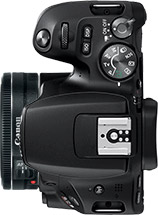 Canon Rebel SL2 (EOS 200D) + 40mm f/2.8 STM