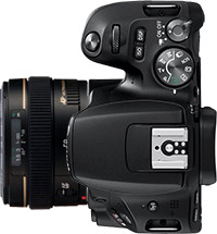 Canon Rebel SL2 (EOS 200D) + 50mm f/1.4