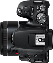 Canon Rebel SL2 (EOS 200D) + 50mm f/1.8