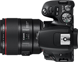 Canon Rebel SL2 (EOS 200D) + 85mm f/1.4