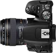 Canon Rebel SL2 (EOS 200D) + 85mm f/1.8