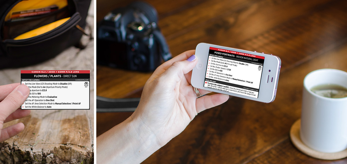 Canon Rebel SL2 (EOS 200D) Cheat Sheet for Portraits and Nature Photography
