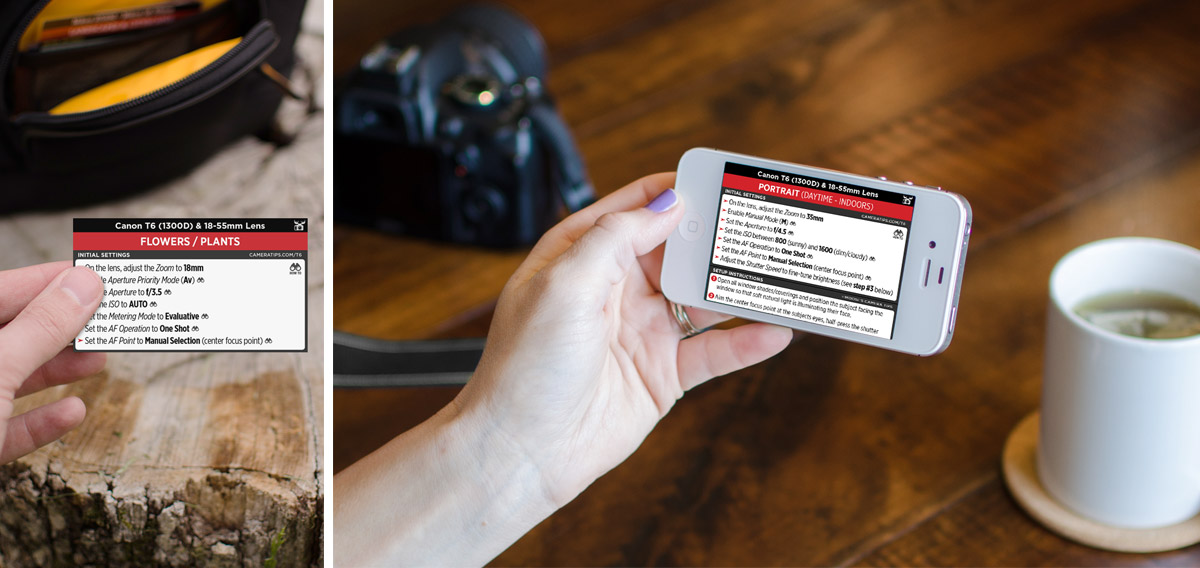 Canon T6 (1300D) Cheat Sheet for Portraits and Nature Photography